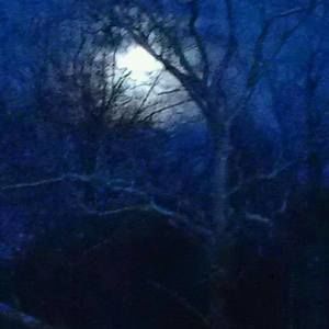 Meet your Posher, Jo